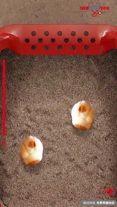 模擬刨貓砂動(dòng)作