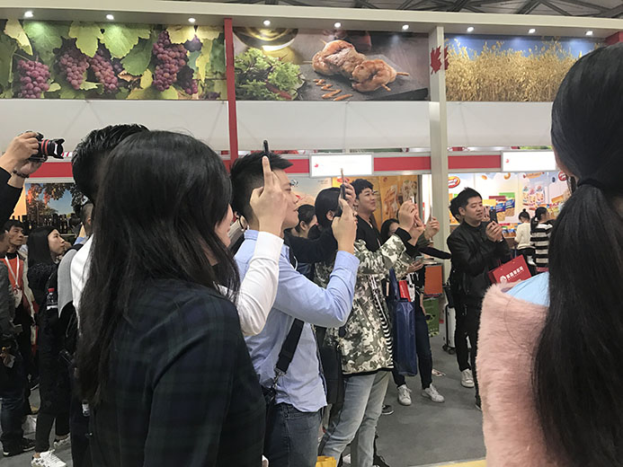 互動(dòng)游戲，大屏互動(dòng)游戲，手機(jī)互動(dòng)游戲，小游戲定制，互動(dòng)游戲開發(fā)